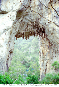 C010113.jpg
