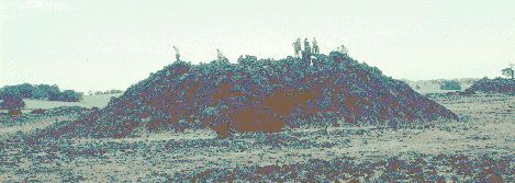 Tumulus, 28kb GIF