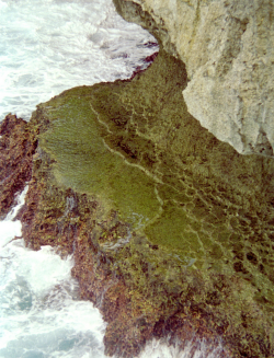C980520.jpg