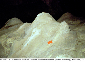 C010110.jpg