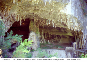 C010528.jpg