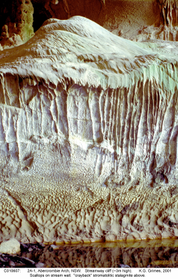 C010607.jpg