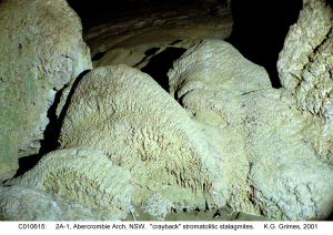C010615a.JPG