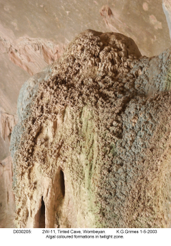 D030205.jpg