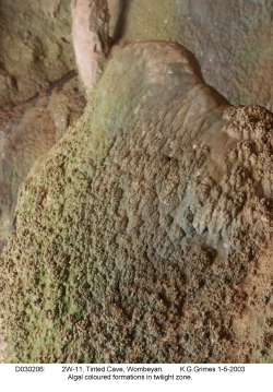 D030206.jpg
