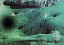 A PICTURE OF KARST TOPOGRAPHY