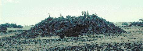 Tumulus, 28kb GIF
