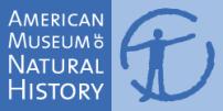 American Museum of Natural History (AMNH)