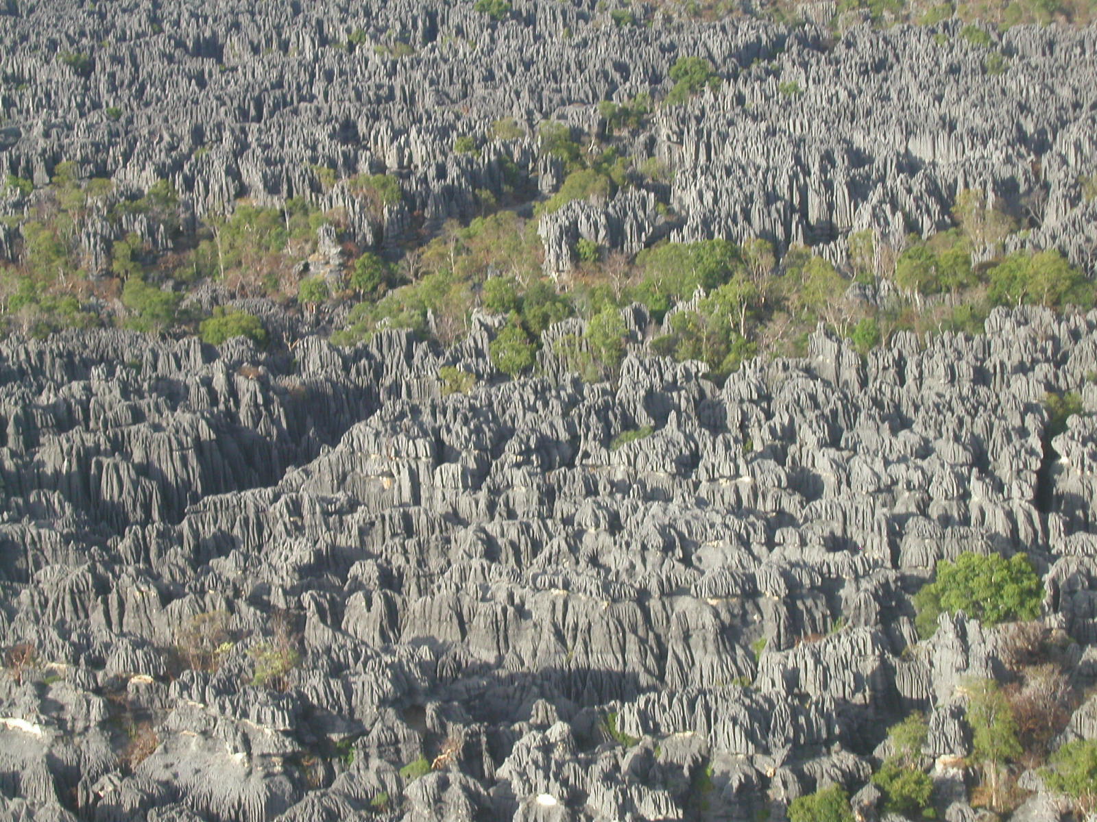 52madagascarfig15