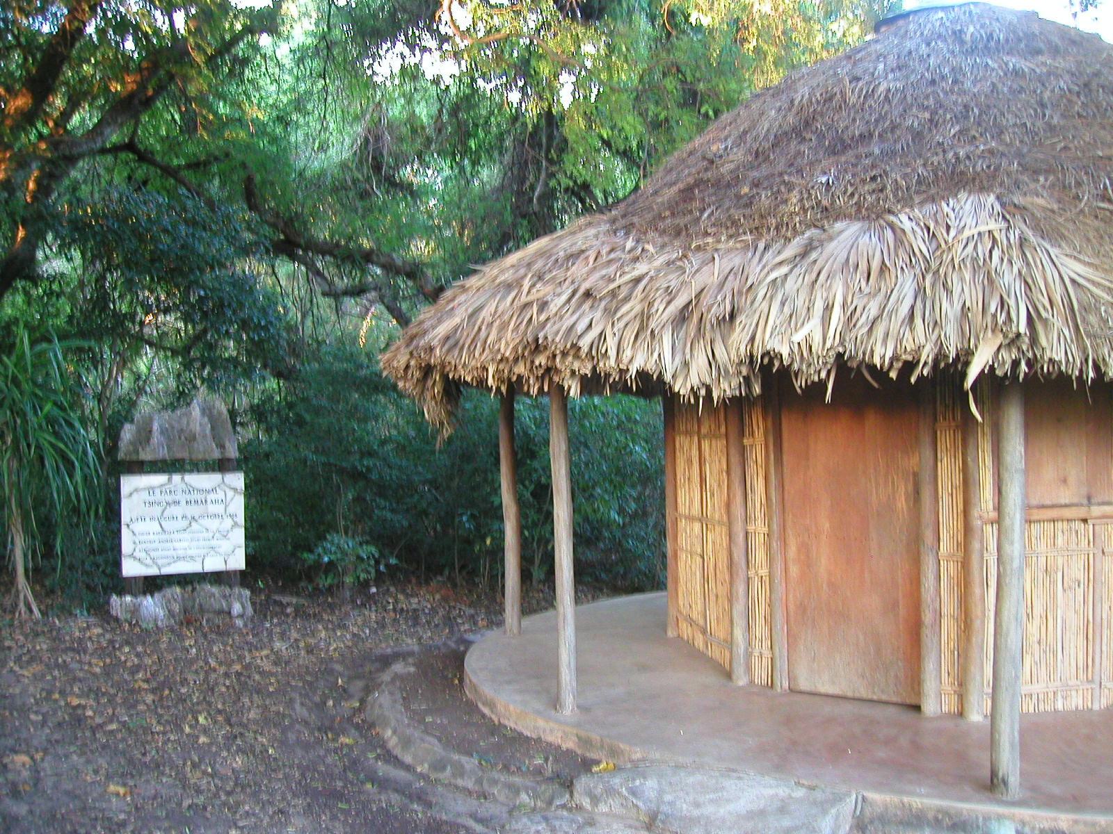 52madagascarfig6