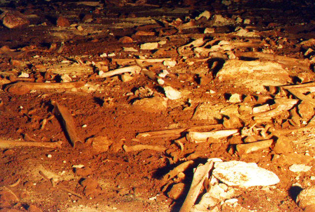 58ossuaries1