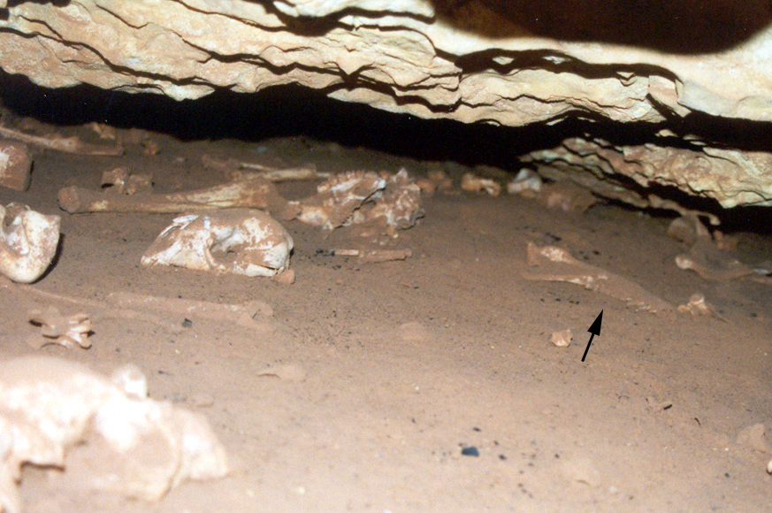 58ossuaries4
