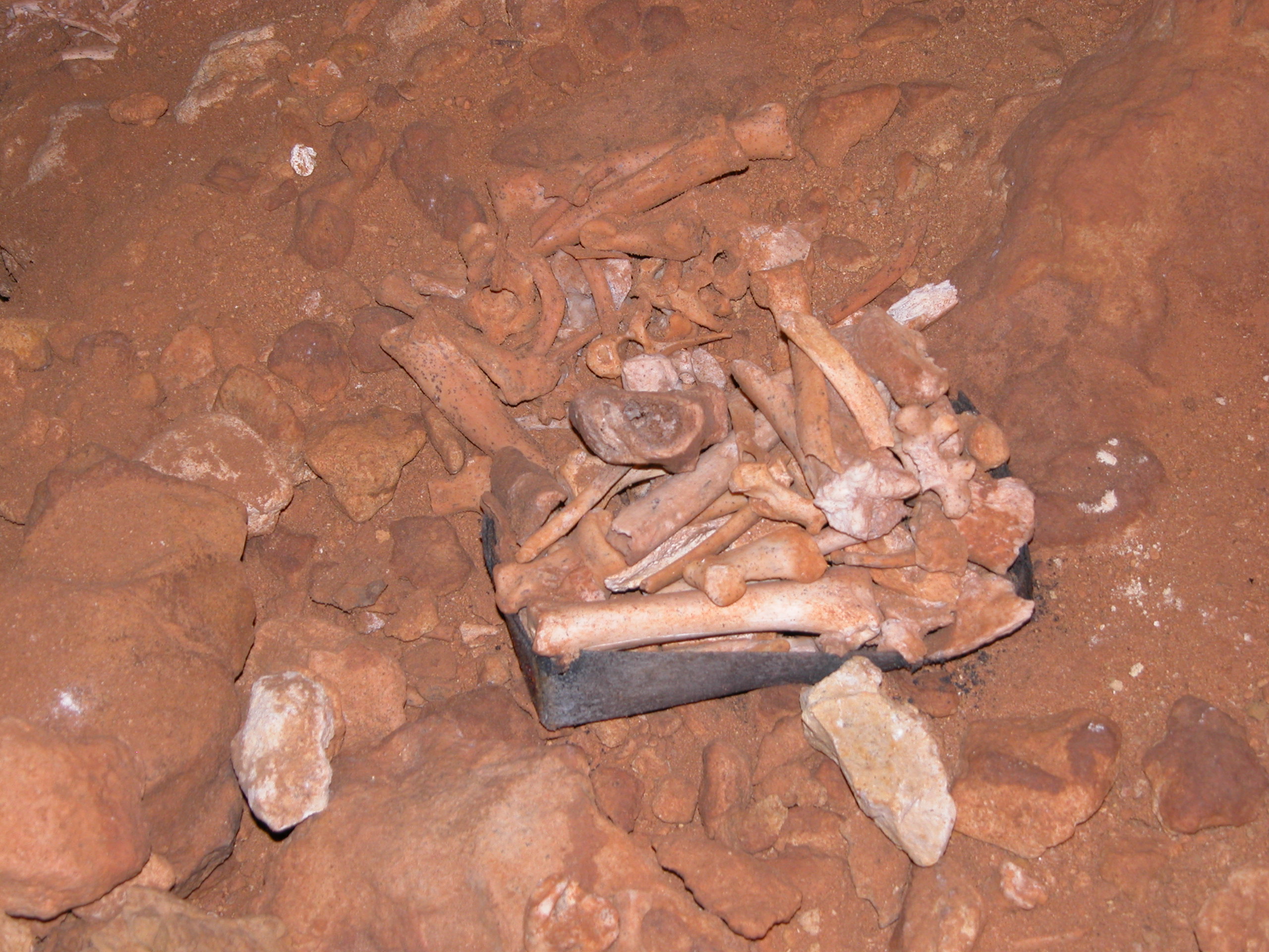 58ossuaries6