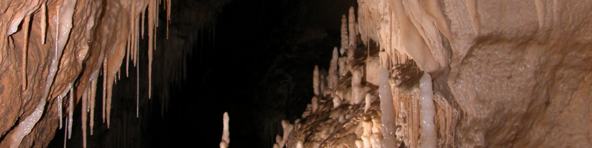 Zweihohlen, Waitomo