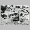ASF-P-00048.jpg
