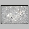 JNJ-S-1024-01.jpg